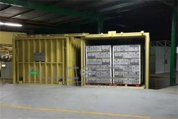 Máy làm mát chân không tự động cho rau ăn lá / nấm ăn được / hàu / nấm 0